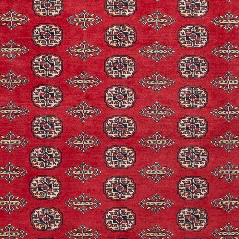 Afghansk tæppe - Bukhara - 315 x 248 cm - rød