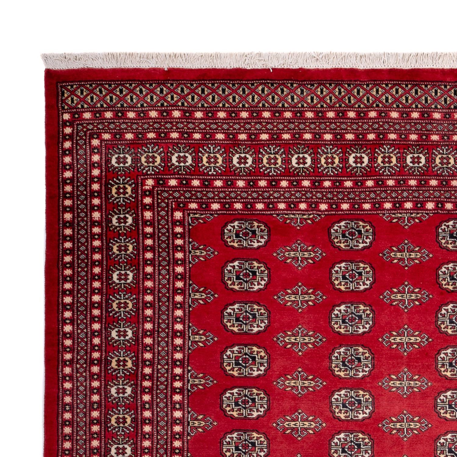 Afghansk tæppe - Bukhara - 315 x 248 cm - rød