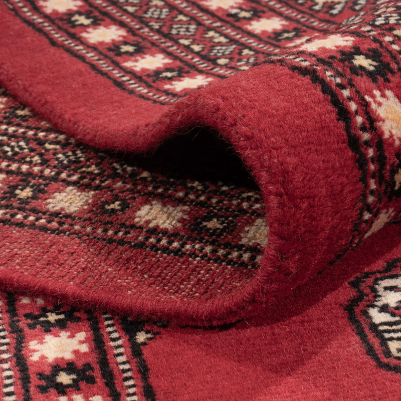 Afghansk tæppe - Bukhara - 315 x 248 cm - rød