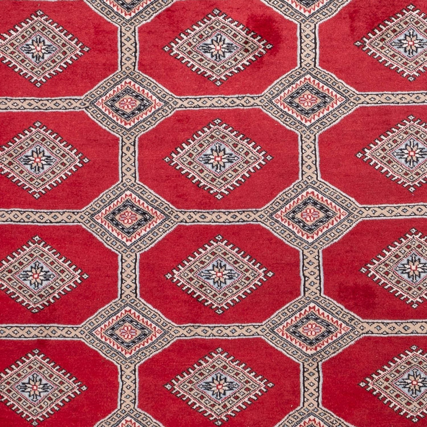 Afghansk tæppe - Bukhara - 287 x 220 cm - rød