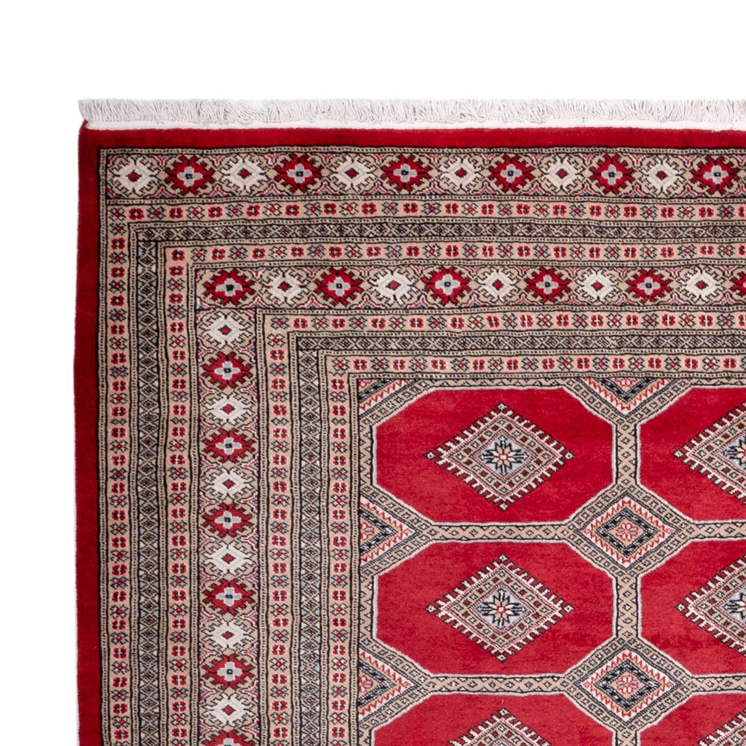Afghansk tæppe - Bukhara - 287 x 220 cm - rød