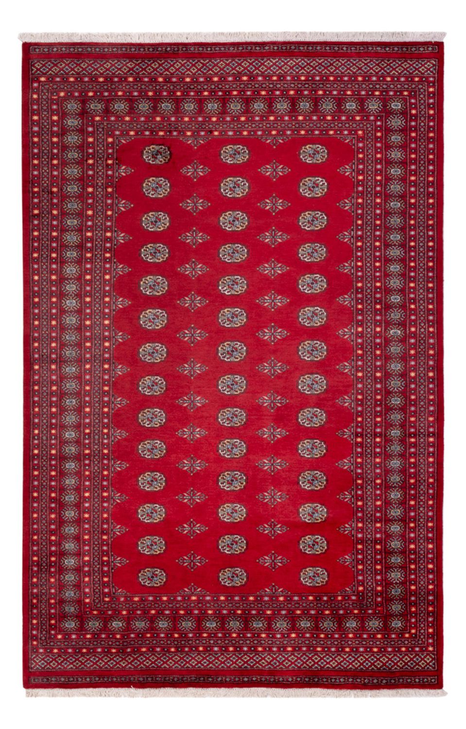 Afghansk tæppe - Bukhara - 307 x 202 cm - rød