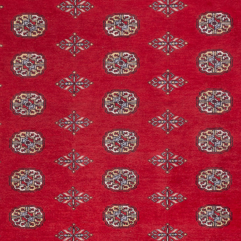 Afghansk tæppe - Bukhara - 307 x 202 cm - rød