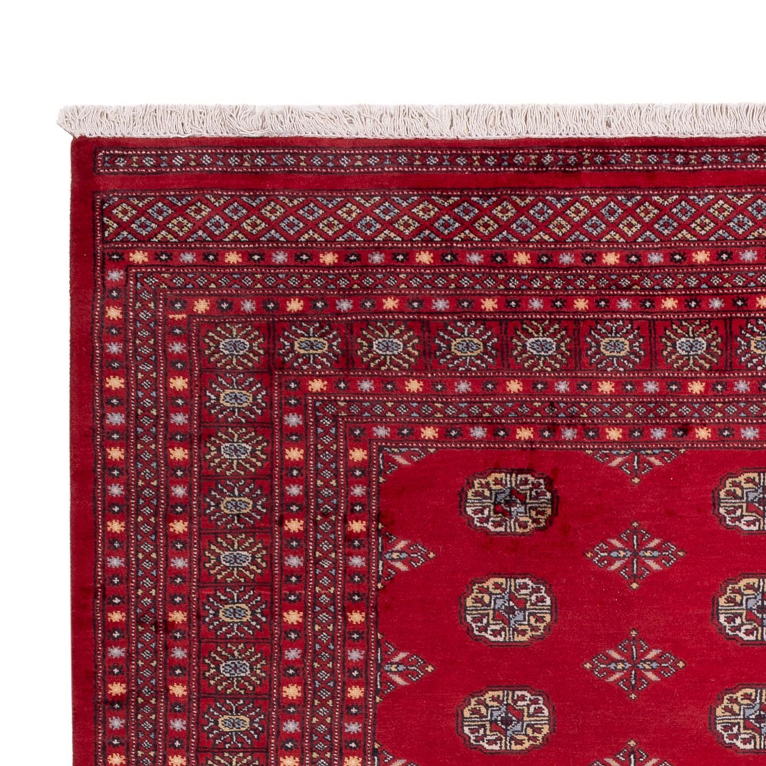 Afghansk tæppe - Bukhara - 307 x 202 cm - rød