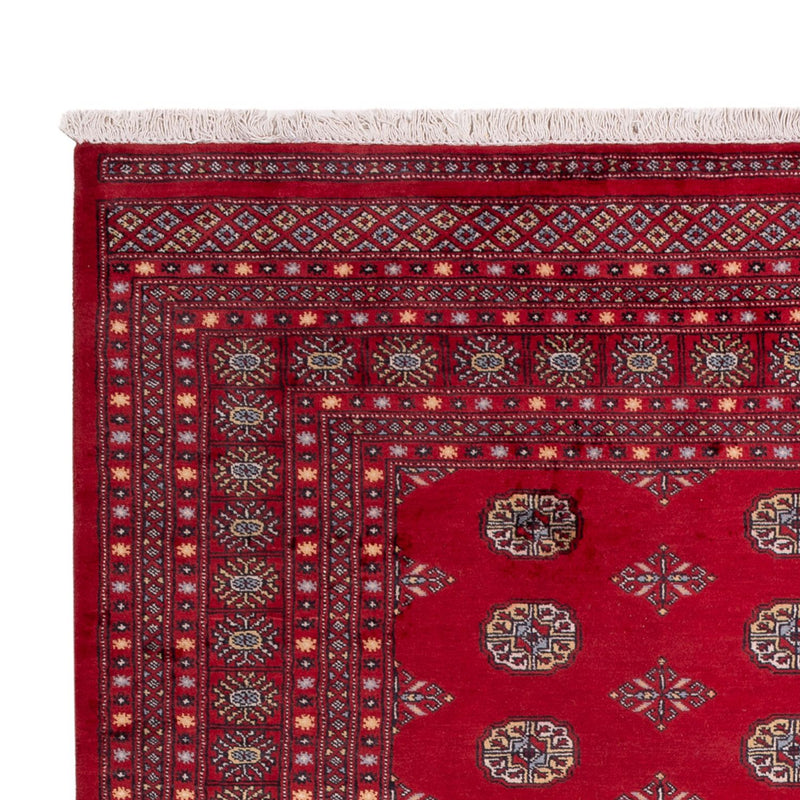 Afghansk tæppe - Bukhara - 307 x 202 cm - rød