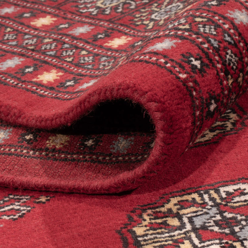 Afghansk tæppe - Bukhara - 307 x 202 cm - rød