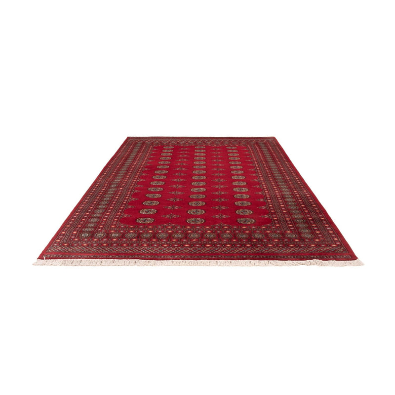 Afghansk tæppe - Bukhara - 307 x 202 cm - rød