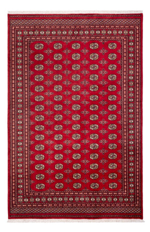 Afghansk tæppe - Bukhara - 298 x 198 cm - rød