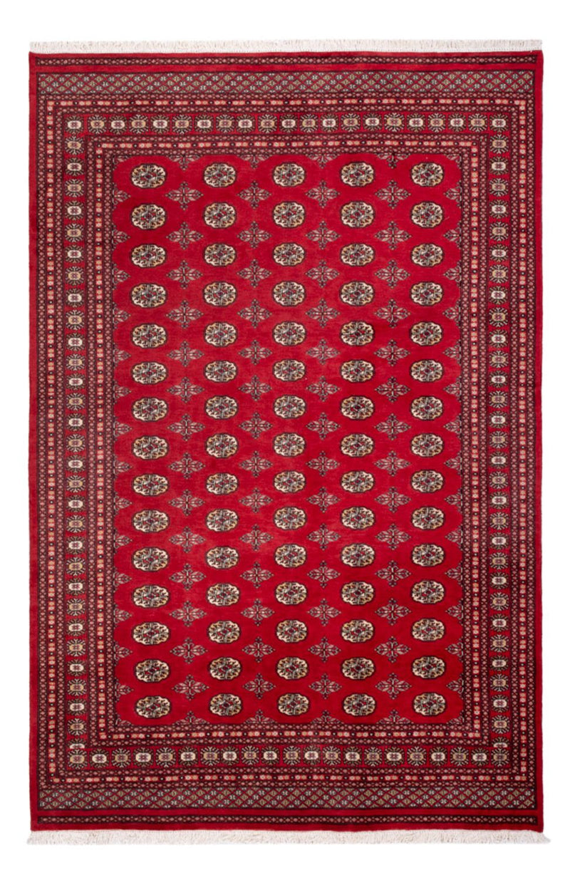 Afghansk tæppe - Bukhara - 298 x 198 cm - rød