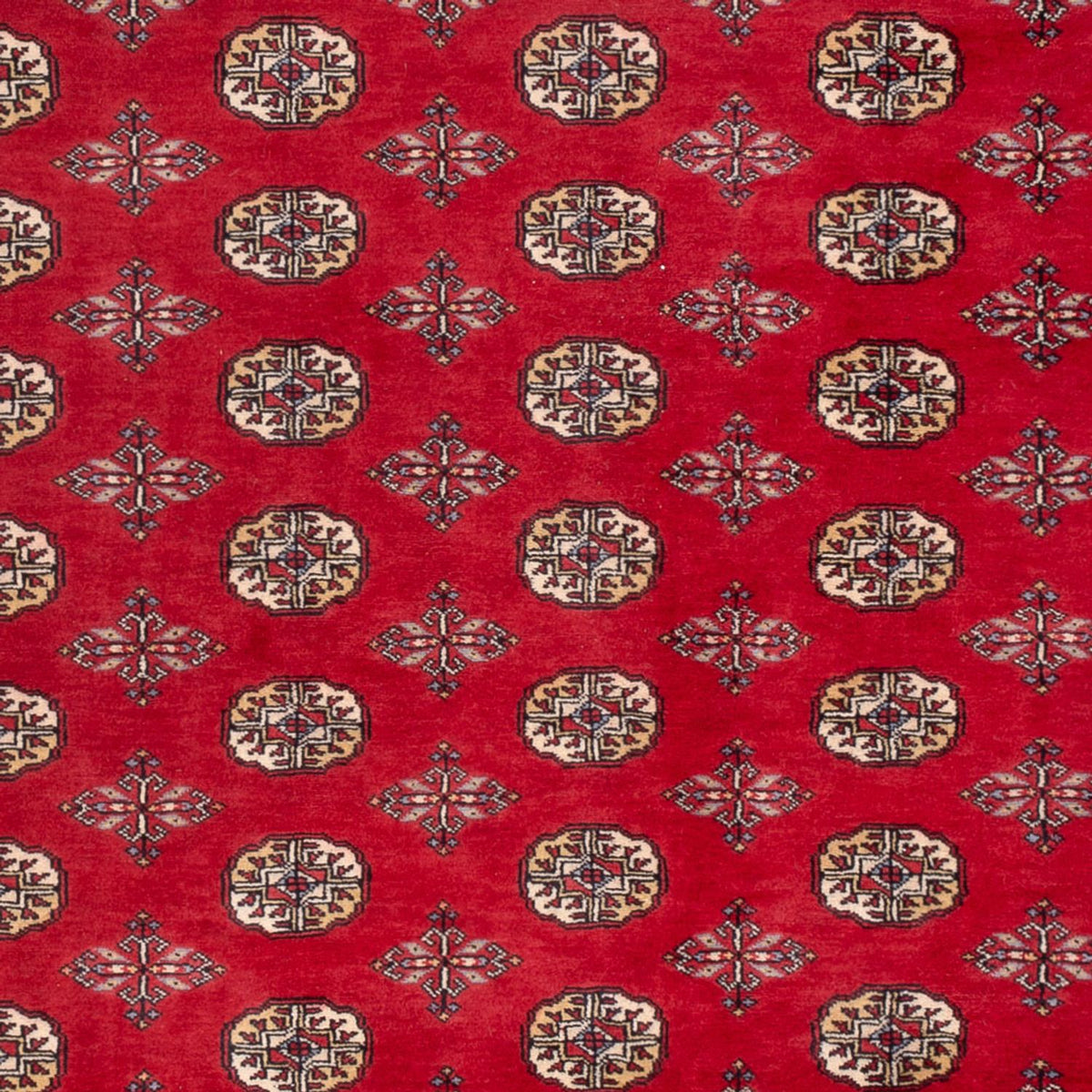 Afghansk tæppe - Bukhara - 298 x 198 cm - rød