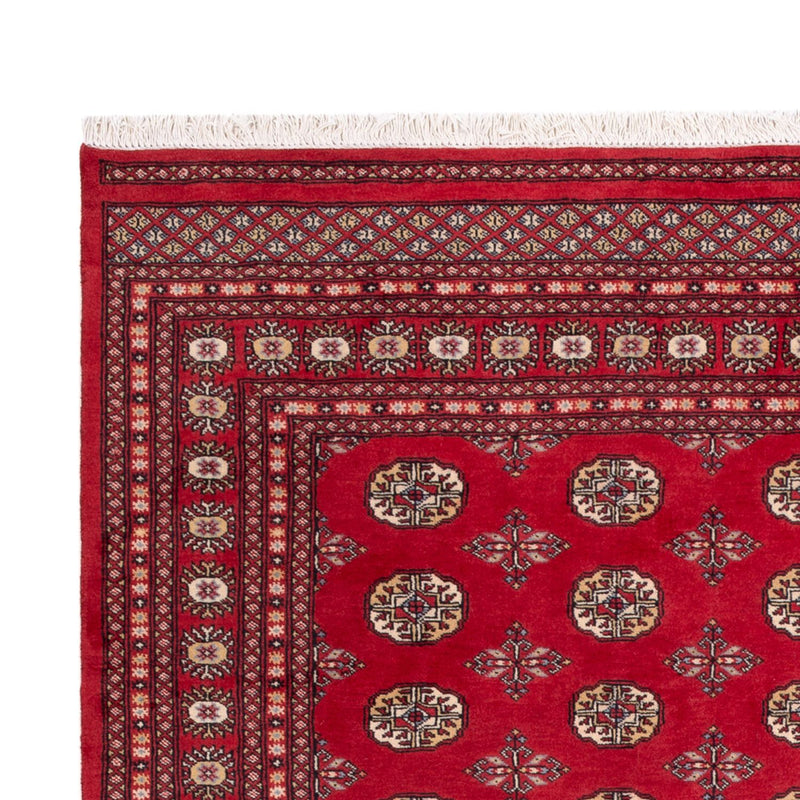 Afghansk tæppe - Bukhara - 298 x 198 cm - rød