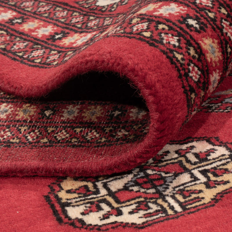 Afghansk tæppe - Bukhara - 298 x 198 cm - rød