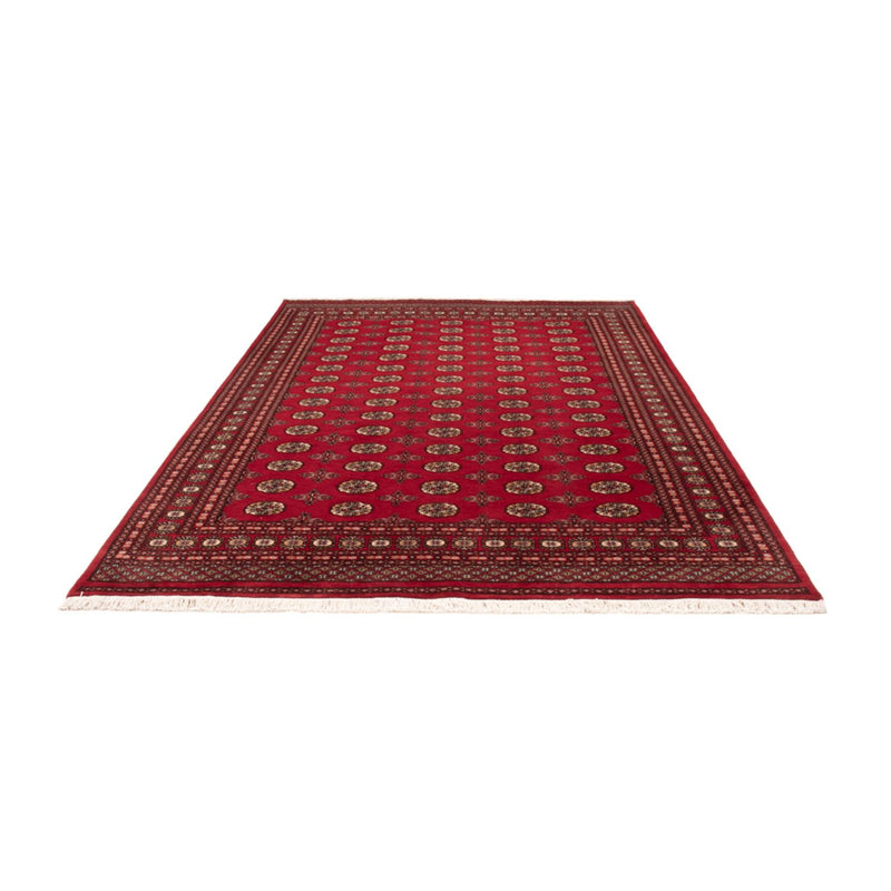 Afghansk tæppe - Bukhara - 298 x 198 cm - rød