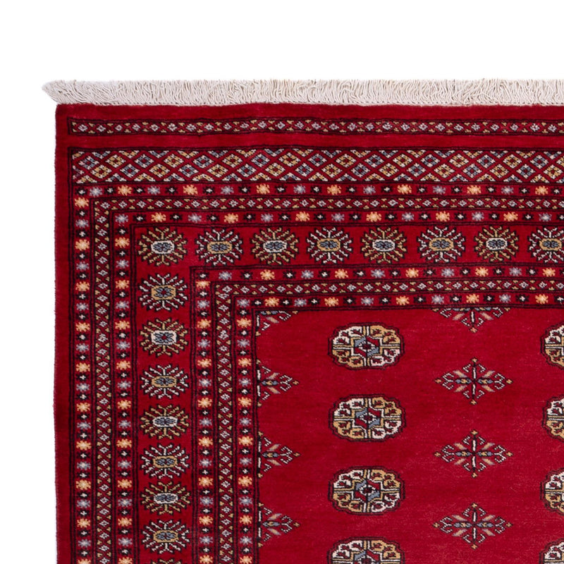 Afghansk tæppe - Bukhara - 302 x 202 cm - rød