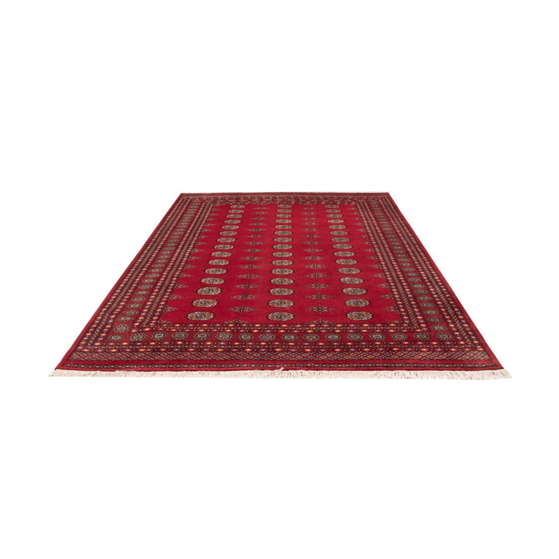 Afghansk tæppe - Bukhara - 302 x 202 cm - rød