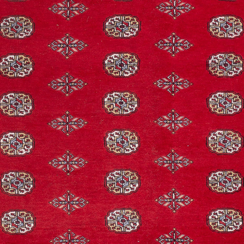 Afghansk tæppe - Bukhara - 303 x 205 cm - rød
