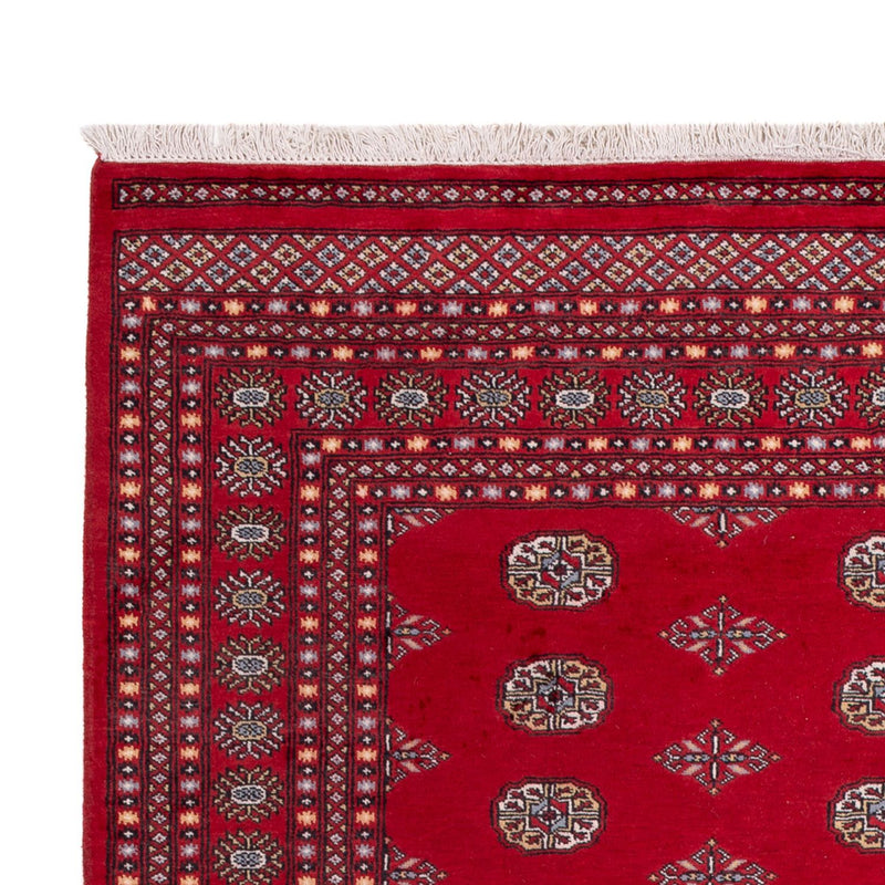 Afghansk tæppe - Bukhara - 303 x 205 cm - rød