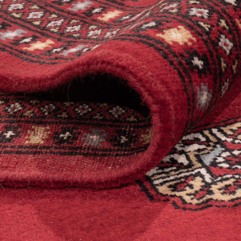 Afghansk tæppe - Bukhara - 303 x 205 cm - rød