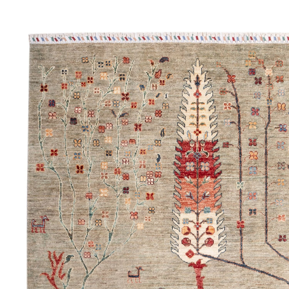 Ziegler Carpet - Ariana - 301 x 205 cm - sand