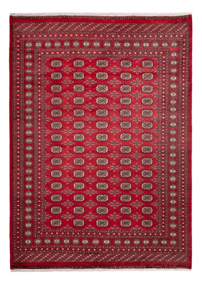Afghansk tæppe - Bukhara - 297 x 220 cm - rød