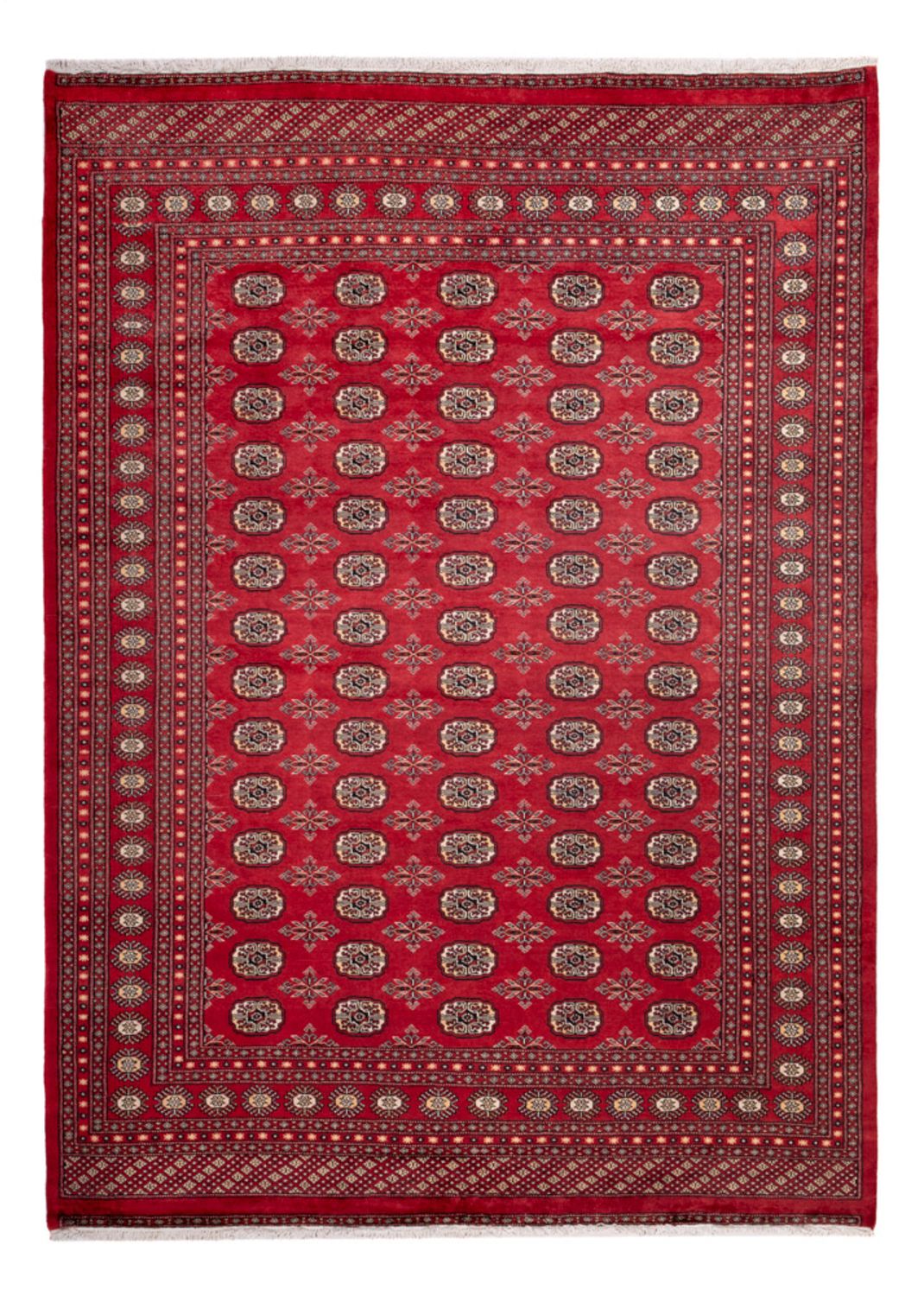 Afghansk tæppe - Bukhara - 297 x 220 cm - rød