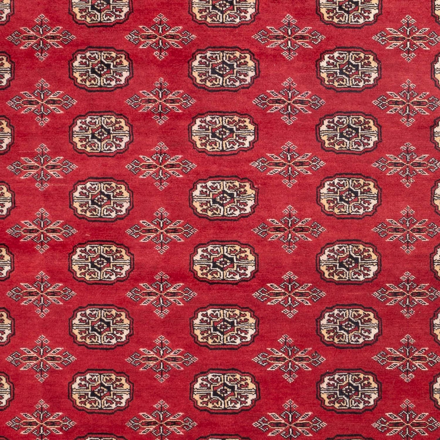 Afghansk tæppe - Bukhara - 297 x 220 cm - rød