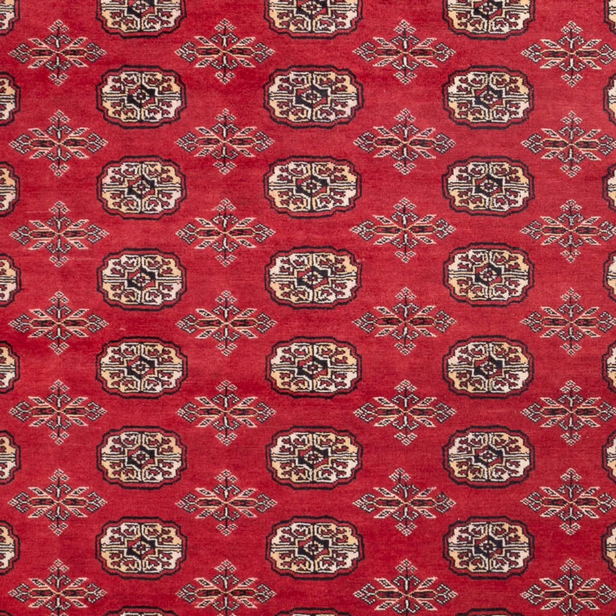 Afghansk tæppe - Bukhara - 297 x 220 cm - rød