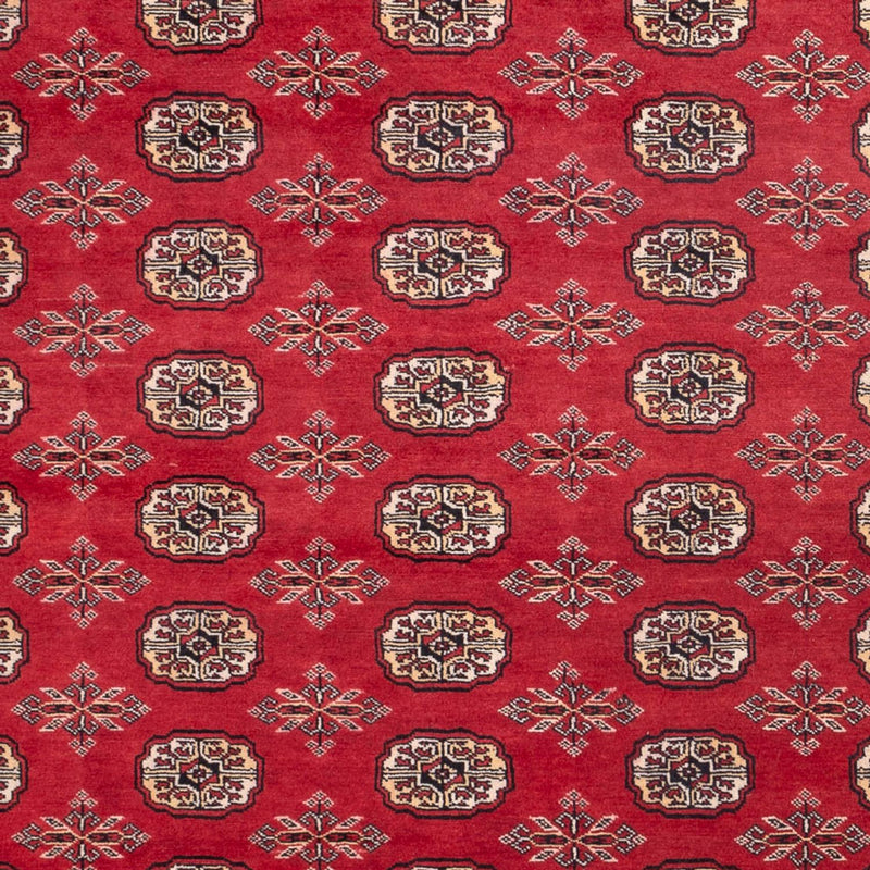 Afghansk tæppe - Bukhara - 297 x 220 cm - rød