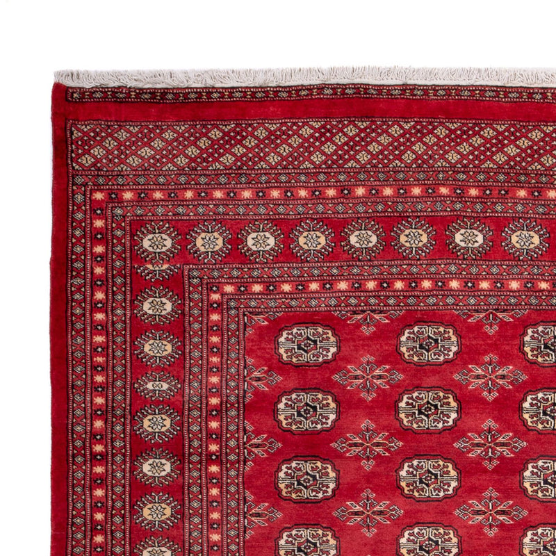 Afghansk tæppe - Bukhara - 297 x 220 cm - rød