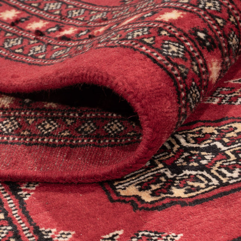 Afghansk tæppe - Bukhara - 297 x 220 cm - rød