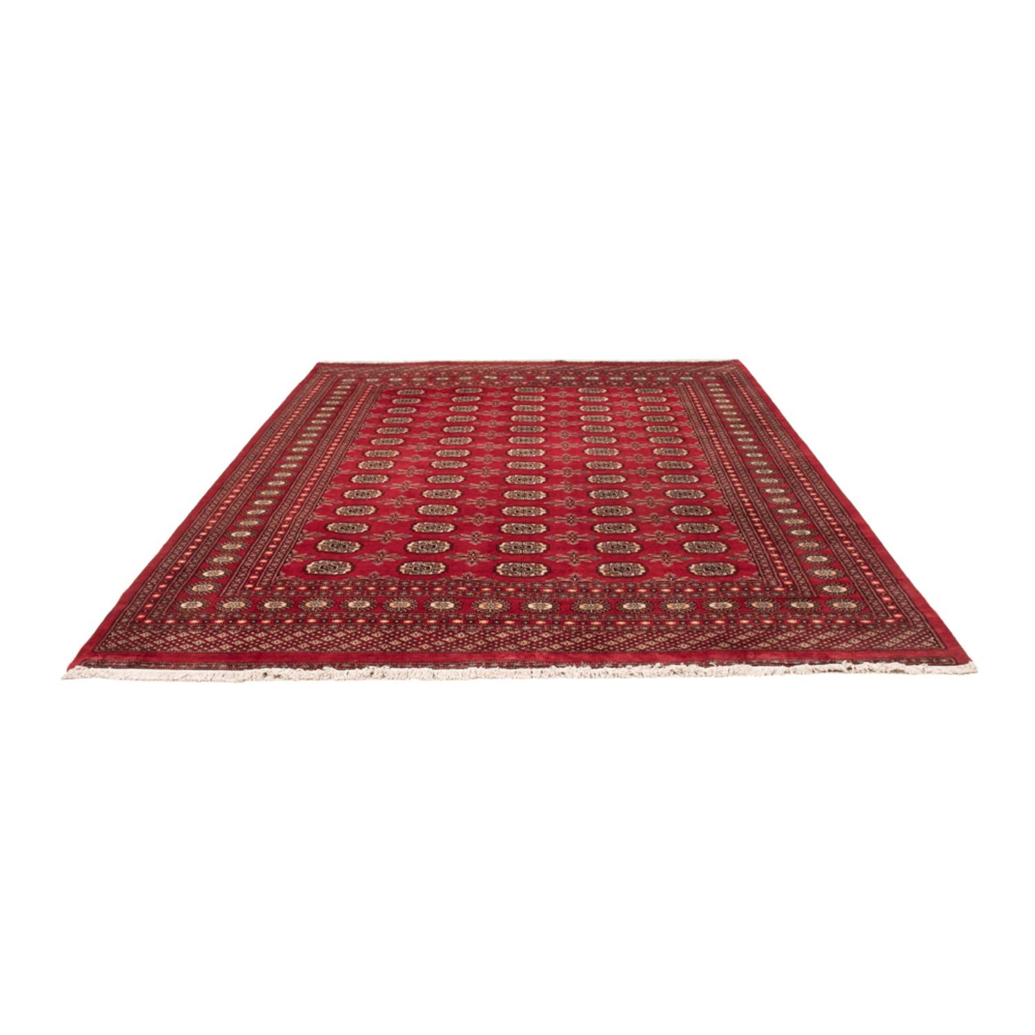 Afghansk tæppe - Bukhara - 297 x 220 cm - rød