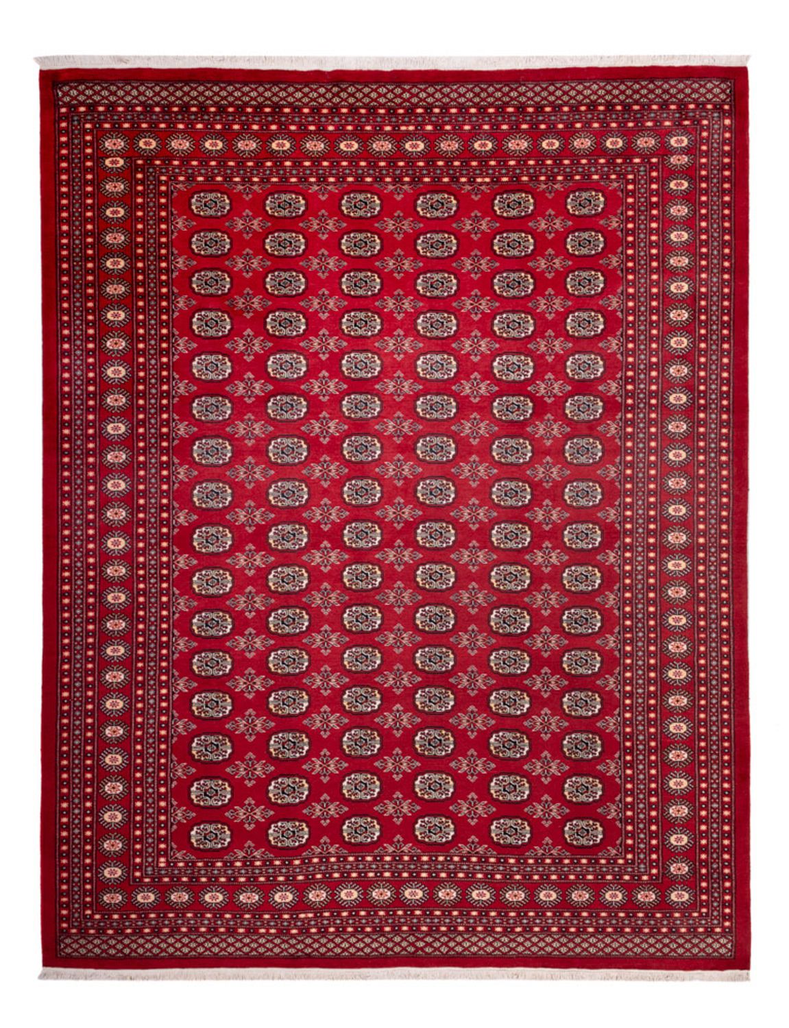 Afghansk tæppe - Bukhara - 322 x 248 cm - rød