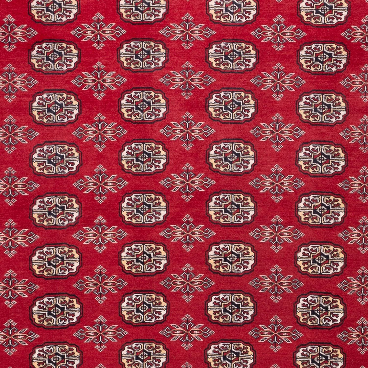Afghansk tæppe - Bukhara - 322 x 248 cm - rød