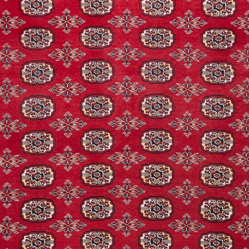 Afghansk tæppe - Bukhara - 322 x 248 cm - rød