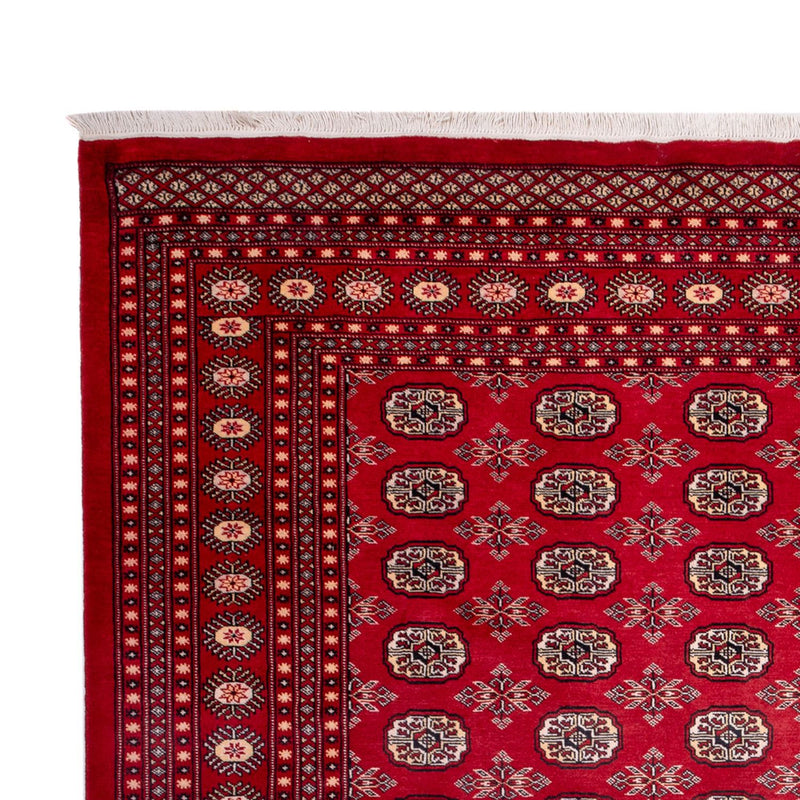 Afghansk tæppe - Bukhara - 322 x 248 cm - rød