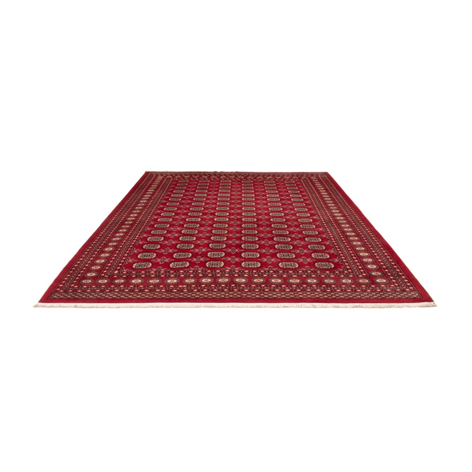 Afghansk tæppe - Bukhara - 322 x 248 cm - rød