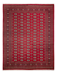 Afghansk tæppe - Bukhara - 312 x 245 cm - rød