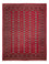 Afghansk tæppe - Bukhara - 312 x 245 cm - rød