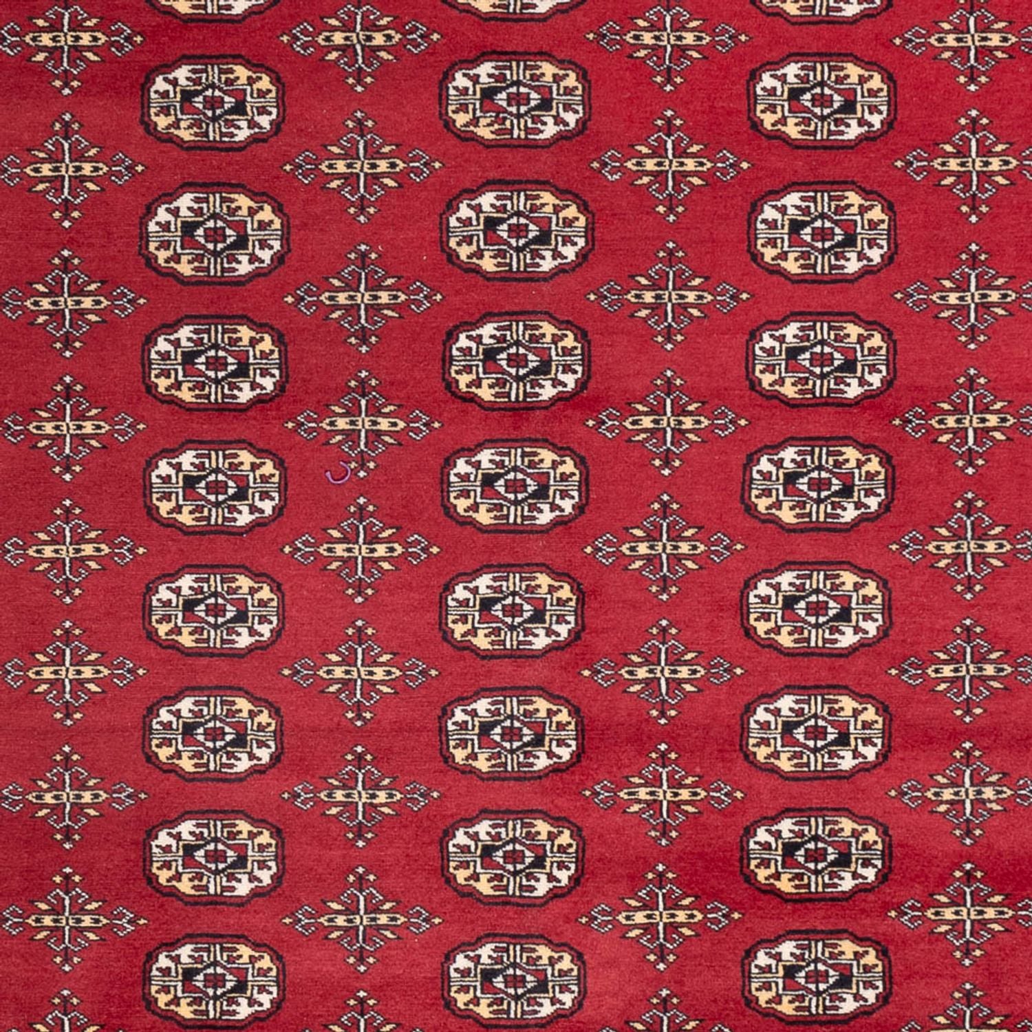 Afghansk tæppe - Bukhara - 312 x 245 cm - rød