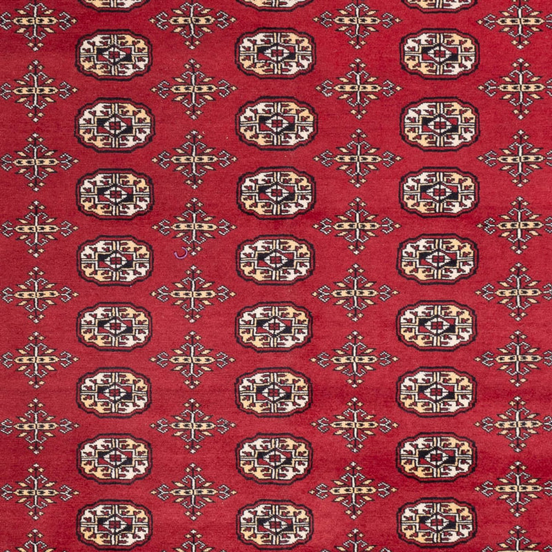 Afghansk tæppe - Bukhara - 312 x 245 cm - rød