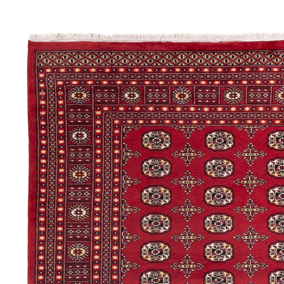 Bukhara Tæppe 245x312cm - Orientalsk tæppe