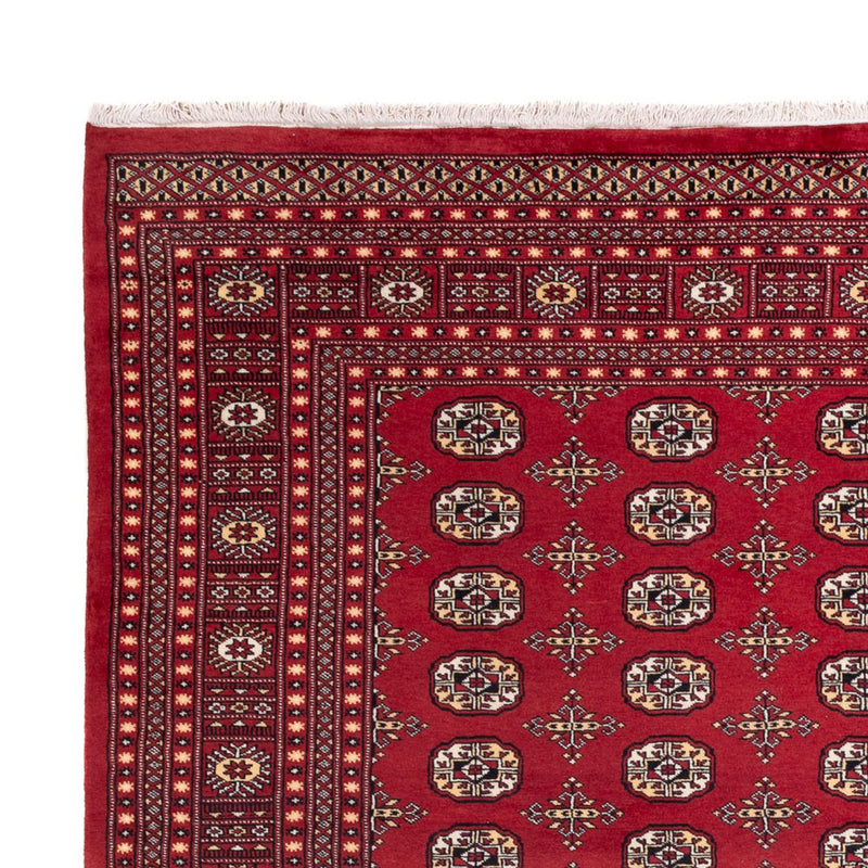 Afghansk tæppe - Bukhara - 312 x 245 cm - rød