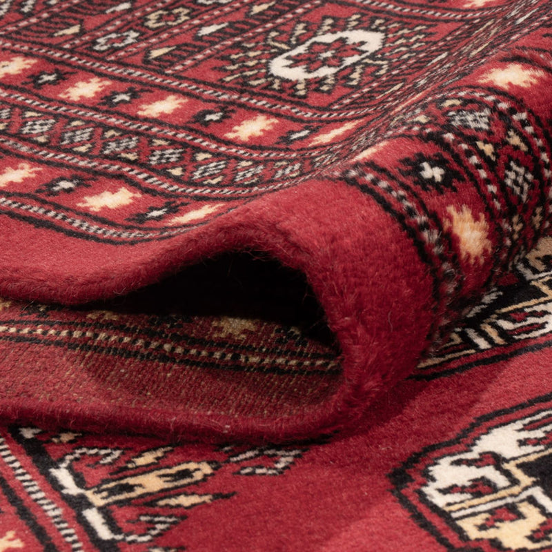 Afghansk tæppe - Bukhara - 312 x 245 cm - rød
