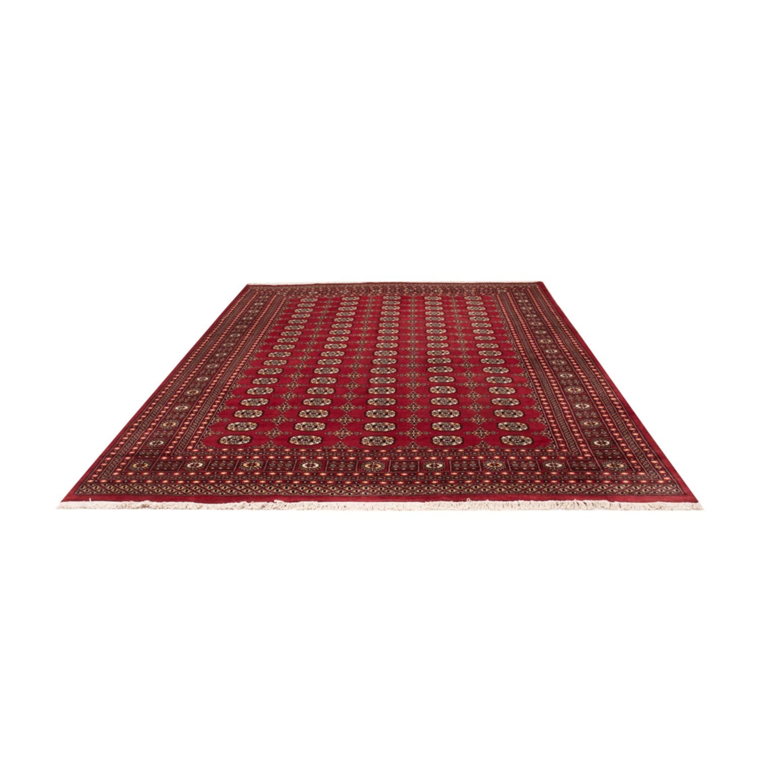 Afghansk tæppe - Bukhara - 312 x 245 cm - rød