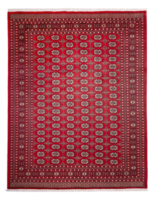 Afghansk tæppe - Bukhara - 311 x 243 cm - rød