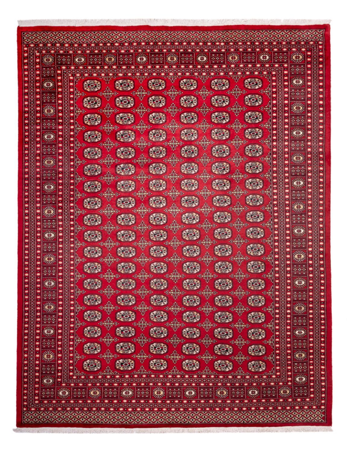 Afghansk tæppe - Bukhara - 311 x 243 cm - rød