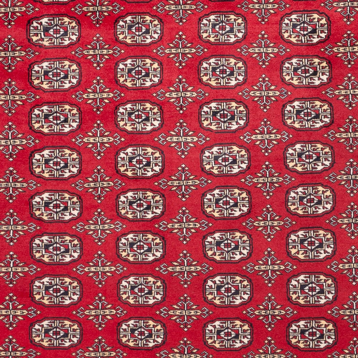 Afghansk tæppe - Bukhara - 311 x 243 cm - rød