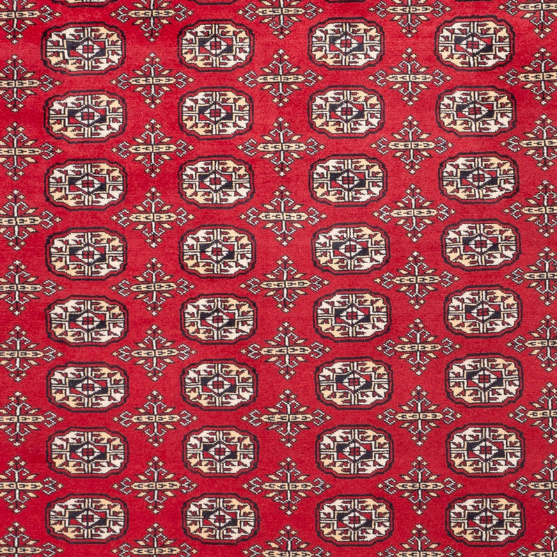 Afghansk tæppe - Bukhara - 311 x 243 cm - rød