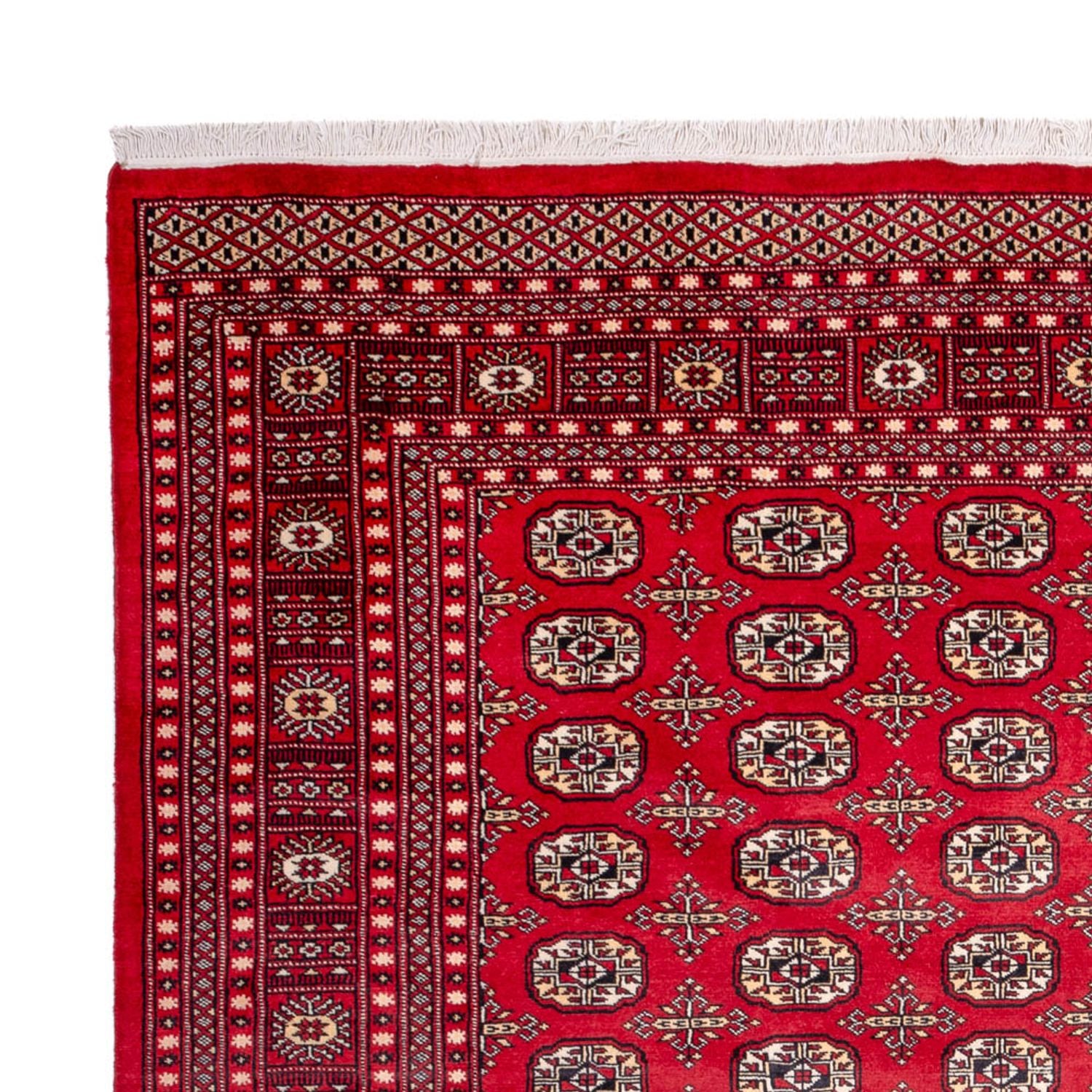 Afghansk tæppe - Bukhara - 311 x 243 cm - rød