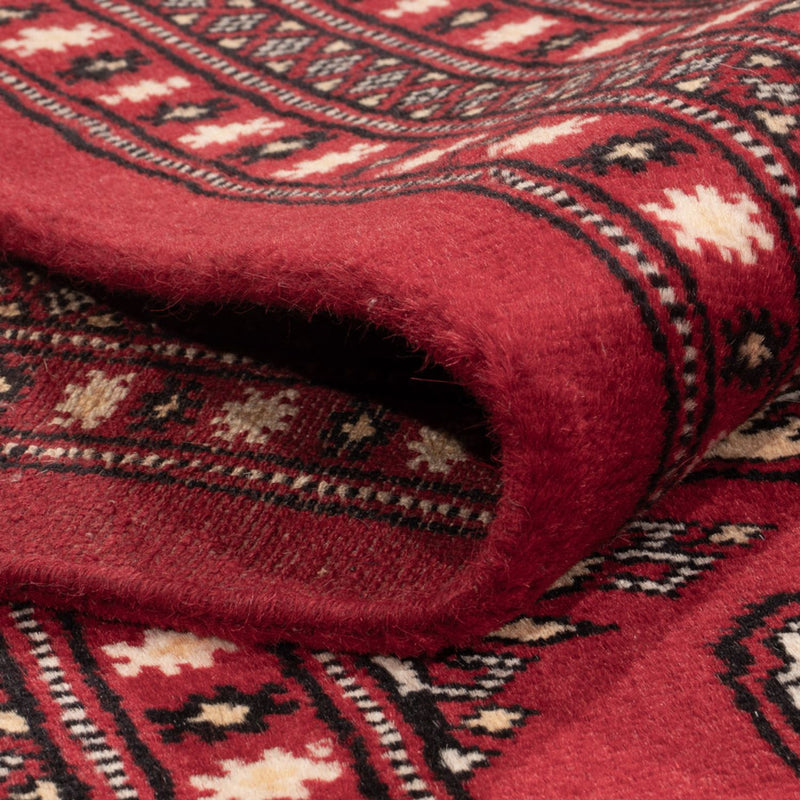 Afghansk tæppe - Bukhara - 311 x 243 cm - rød